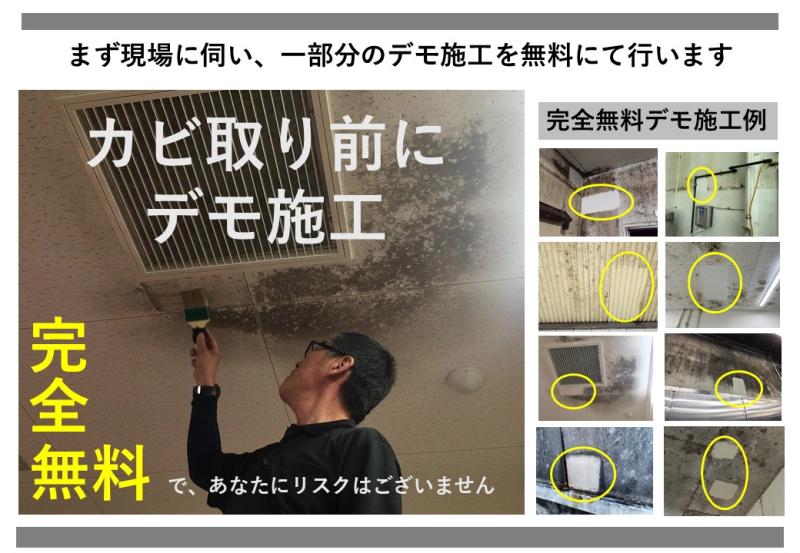 株式会社ビッグホワイのメイン写真３